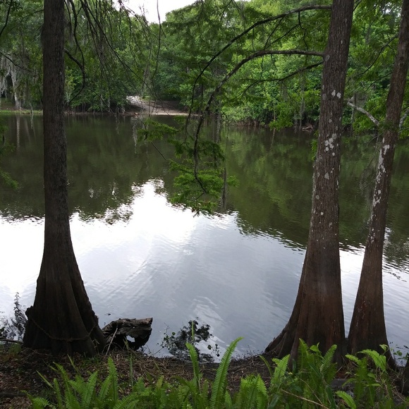 Meet your Posher, Gina...❤ - Picture 4 of 4